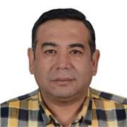 Profesor de español para extranjeros principiantes , intermedio y avanzados