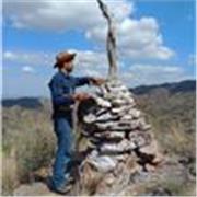 Ayudo a personas de habla inglesa a mejorar su fluidez en español latino, modismos y expresiones coloquiales