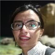 Profesora de Física, y enseño con paquetes preparadas de sujetos speciales en Física en Inglés , Tambien IB Física