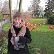 Türkisch Tutor, die Anfängern und Mittelstufern hilft, fließend zu sprechen