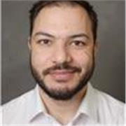 Begeisterter Englischlehrer (C1), Online-Nachhilfe aller Altersstufen unterrichtet