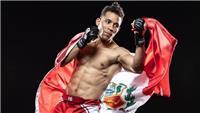 Clases online kickboxing-mma-muaithay