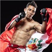 Clases online KICKBOXING-MMA-MUAITHAY