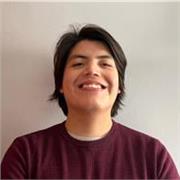 Profesor de Inglés, graduado en Estado Unidos con experiencia enseñando a universitarios