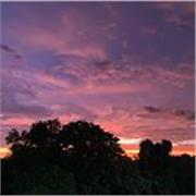 Online English tutor for school students, interactive lessons.