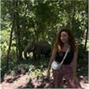 Profesora de Biología joven con experiencia de dos años en clases online. 
A cualquier nivel, tanto primaria, ESO o bachillerato. 