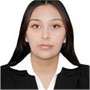 Maestro de español para clases virtuales