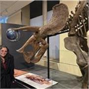 Aprende ciencias fácil: clases online personalizadas y dinámicas