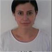 Profesor de Español para Extranjeros. Todos los niveles
