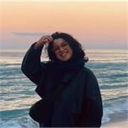 Ripetizioni di Inglese (Livello C2 Certificato): esperienza e metodo di studio su misura!