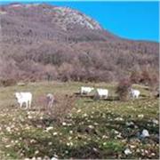 Meno male che non sono un prof! 
Ciao, sono uno studente del liceo classico, vivo a Roma e sono appassionato di scienza e mate! 