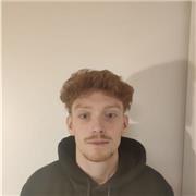 Studente di Ingegneria informatica offre lezioni di informatica (reti, architettura pc, C, Python...) a tutti i livelli