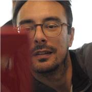 Professeur de Français pouvant donner des cours particuliers ou aider aux devoirs tous niveaux