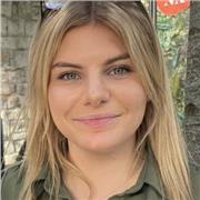 Tutor for maths and english. Primary school and GCSE