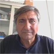 Informatica e Python per studenti: competenze digitali per il futuro