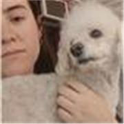 Profesora de nivel inicial imparte clases de todas las materias desde primaria a secundaria