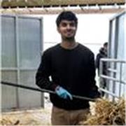 I teach Biology, having achieved an A at A-level, I have extensive experience teaching GCSE students 