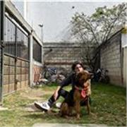 Ofrezco asesorías académicas en historia y humanidades en línea con un enfoque claro, profesional y dinámico