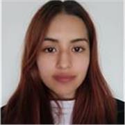 Profesor/a de español online (con o sin experiencia)