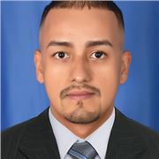 Profesor en ciencias sociales, filosofía, ciencia política o sociología