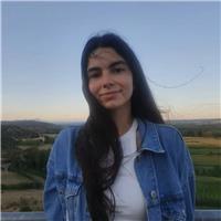 Cualquier asignatura de eso y bachillerato de humanidades. online o presencial (león))