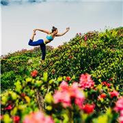 Personal Yoga - ganzheitlich gesünder, beweglicher und vitaler