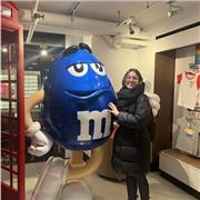 Profesora de inglés o asignaturas varias hasta Barchillerato