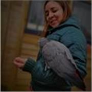 Antropológa titulada de la universidad Complutense de Madrid con experiencia de campo en Latinoamérica.