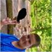 Mathe Tutor der Kinder von 4-7 Klasse Nachhilfe gibt