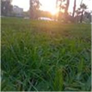 Clases particulares de historia del Perú y historia universal