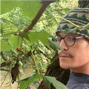 étudiant en art donné des cours de dessins suivants les demandes