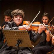 Professor de violino e viola oferece aulas de instrumentos para crianças e adultos