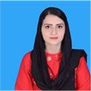 Computer science tutor from basis to primary level to high level students