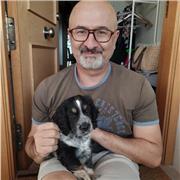 Profesor nativo de FRANCÉS e ITALIANO con amplia experiencia