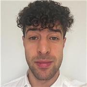 Docente di italiano, storia, linguistica e inglese