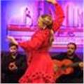 Doy clases particulares de danza española ( sevillanas, flamenco ,etc) y entrenamiento personal