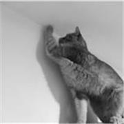 necesitas ayuda con la Universidad? te puedo ayudar !