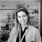 Profesor de apoyo para todas las materias de ciencias (matemáticas, fisica, quimica y biología). Todos los niveles(ESO, FP, Bach