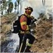 Graduado en Historia ofrece clases particurales