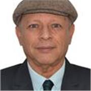 Asesoría en desarrollo / revisión de monografías sobre Logística y COMEX . Clases de Ingles