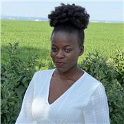 Online Englischlehrer Online Englischlehrer