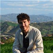 insegnante laureato in pianoforte e in lingue straniere