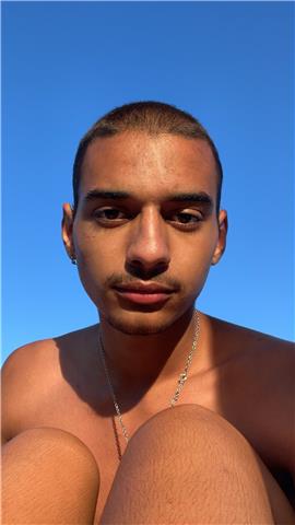 Laussu