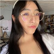 Clases particulares en línea 100%, de hace un estudio de aprendizaje para encontrar el método de estudio más fácil