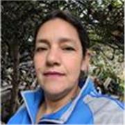 Clases virtuales para primaria