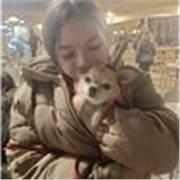 Offro ripetizioni e aiuto compiti per lingue straniere e materie umanistiche