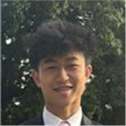 GCSE or A Level Maths Tutor