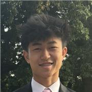 GCSE or A Level Maths Tutor