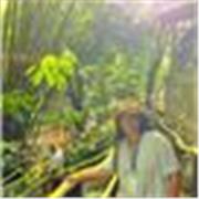 Clases particulares biología nivel inicial/medio