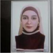 arabic teacher beginner, intermediate and advanced levels